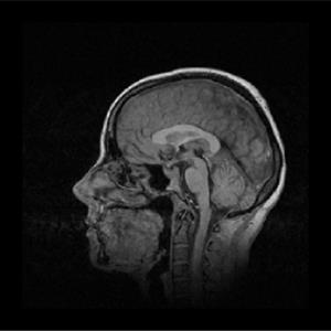 Three.js WebGL - 2D纹理数组帧缓冲附件示例