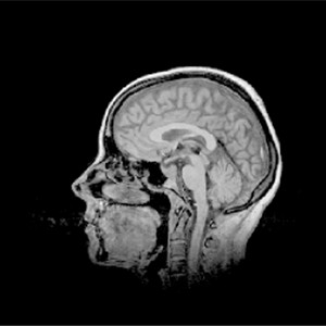 Three.js WebGPU - 2D纹理数组体渲染演示